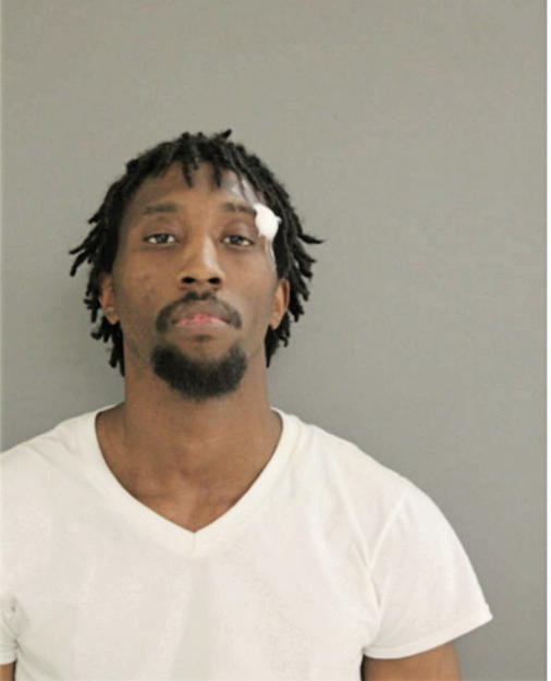 CHRISTOPHER G HOLLISTER, Cook County, Illinois