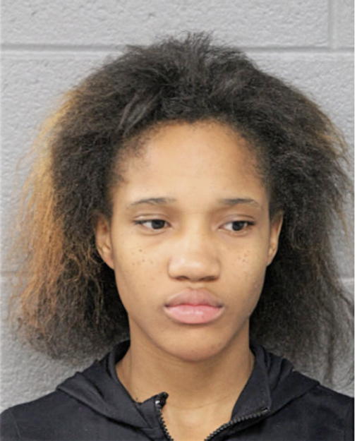 SHANTELL R HOUSTON, Cook County, Illinois