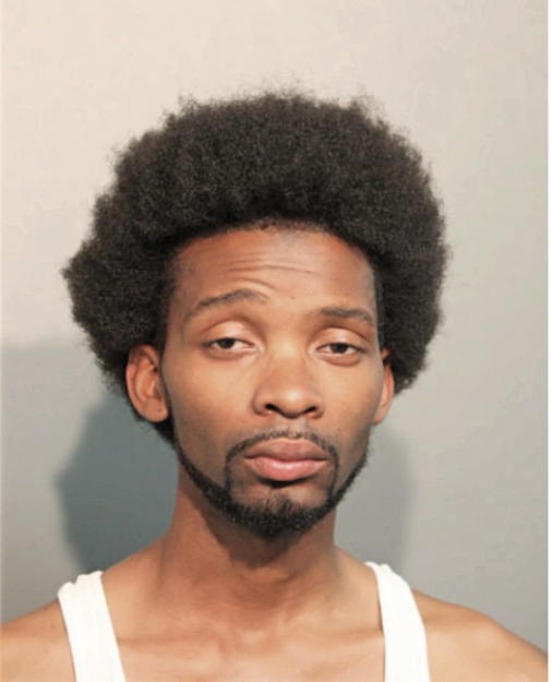ADAM G HUBBARD, Cook County, Illinois