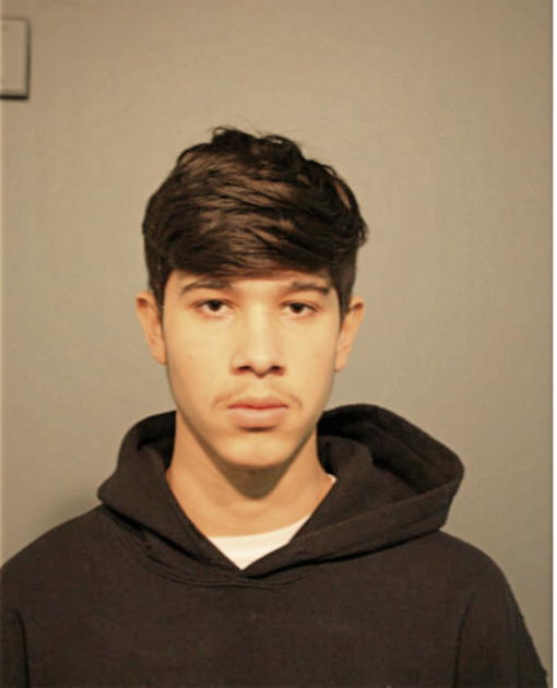 ROBERTO A JAIMAS, Cook County, Illinois