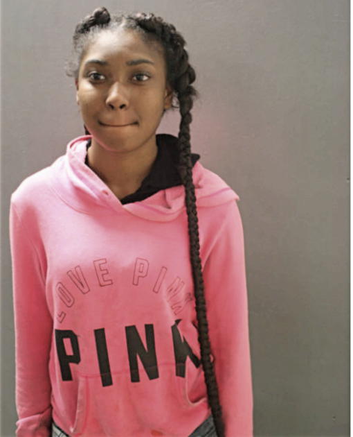 DIANNA K JONES, Cook County, Illinois