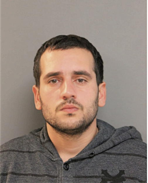 LUIS A LEBRON, Cook County, Illinois