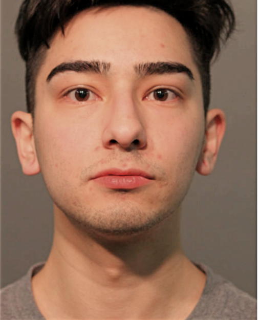 DENNIS ARIEL LOPEZ, Cook County, Illinois