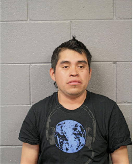 OSCAR MODESTO, Cook County, Illinois