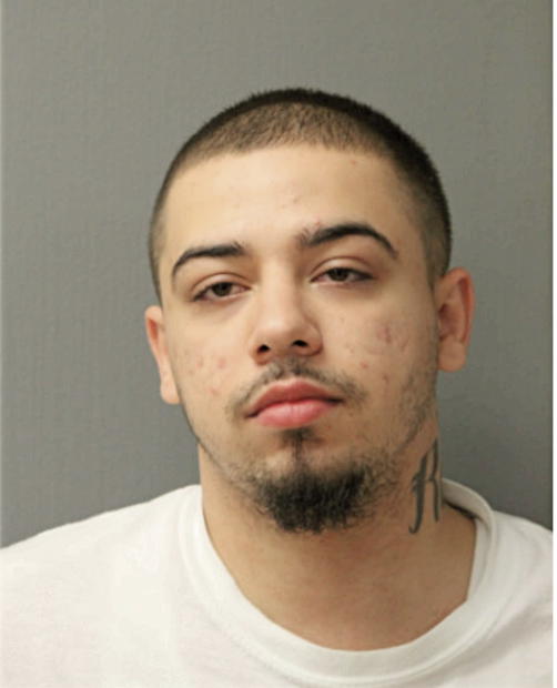 RASO R MUJKOVIC, Cook County, Illinois