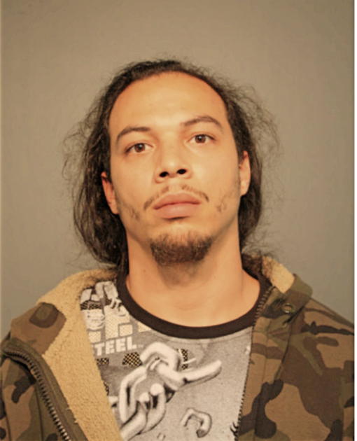 HILARIO R ORTIZ, Cook County, Illinois