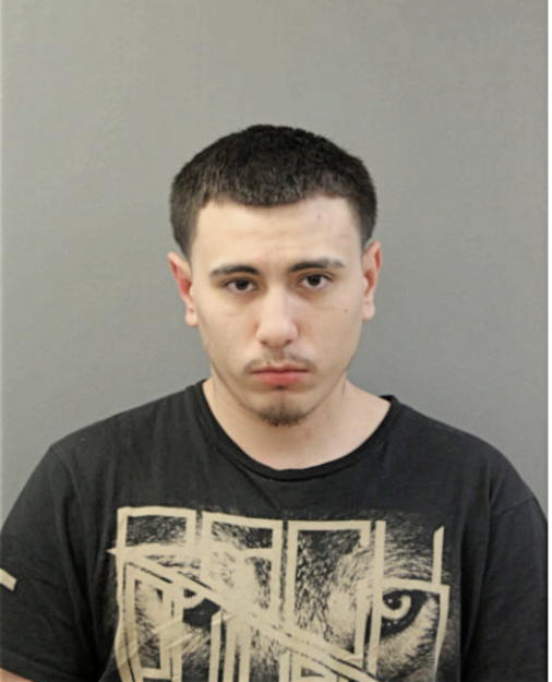 DIEGO PEREZ, Cook County, Illinois
