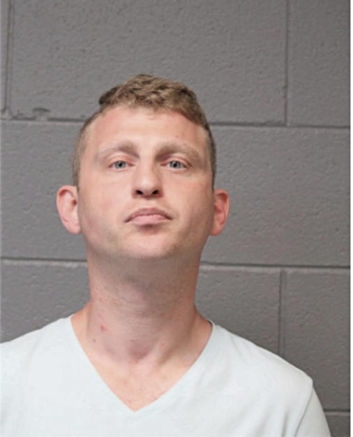 VLADIMIR PIKOVSKIY, Cook County, Illinois