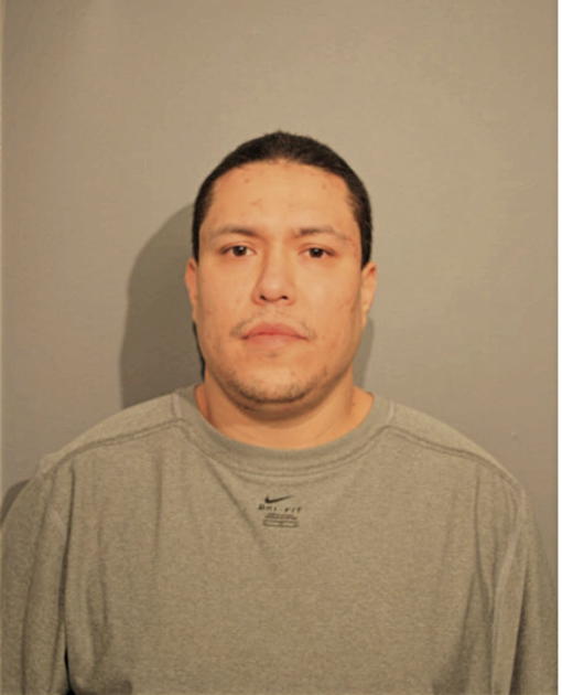 DAVID PLATA, Cook County, Illinois