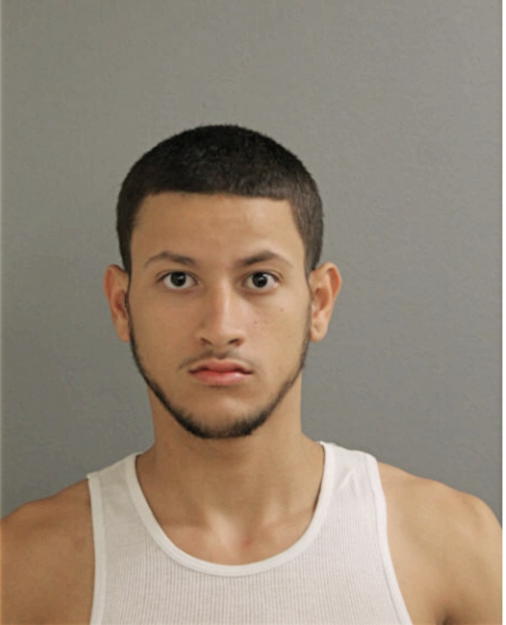 GABRIEL E RODRIGUEZ, Cook County, Illinois