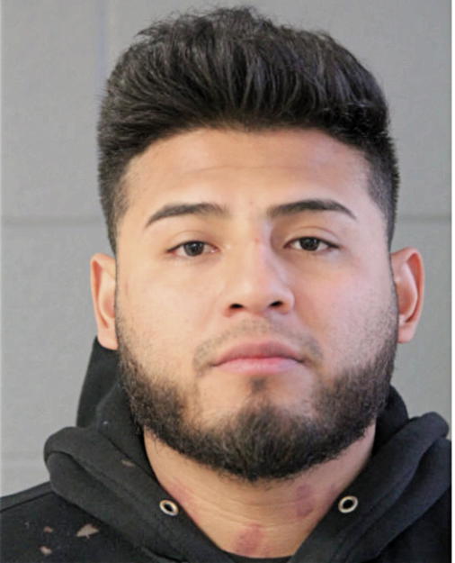 DANIEL MENDEZ ROMERO, Cook County, Illinois