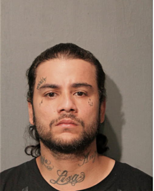 ANGEL J ROSARIO, Cook County, Illinois