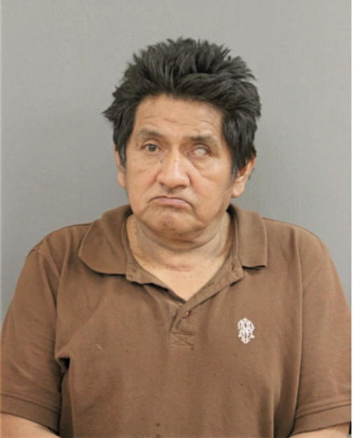 LUIS A AREVALO, Cook County, Illinois