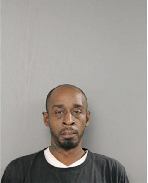 MICHAEL L BLUE, Cook County, Illinois