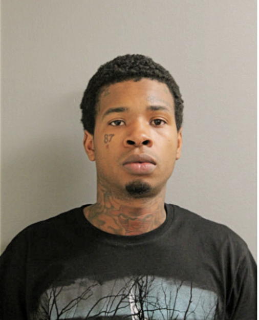 JOSHUA C BRANDON, Cook County, Illinois