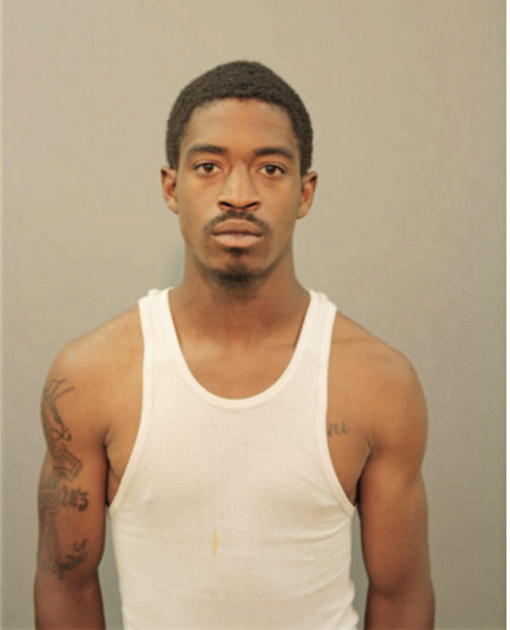 JAMES E BROWN, Cook County, Illinois