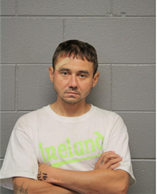 EDWARD N BUSSE, Cook County, Illinois