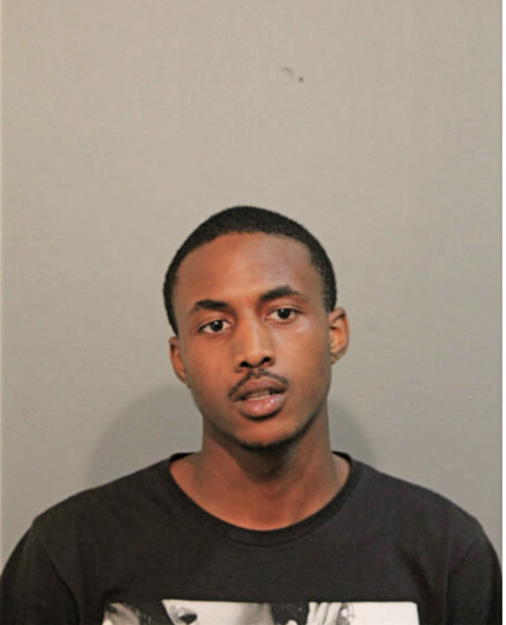 LARRY L COLEMAN, Cook County, Illinois
