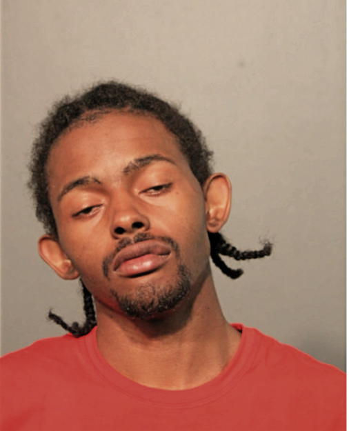 CLARENCE O DAVIS, Cook County, Illinois