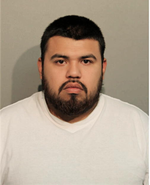 JOSE FLORES, Cook County, Illinois