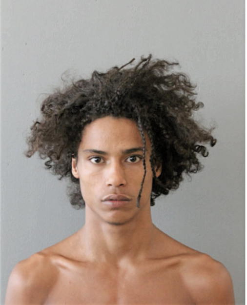 LADARIUS R GARY, Cook County, Illinois