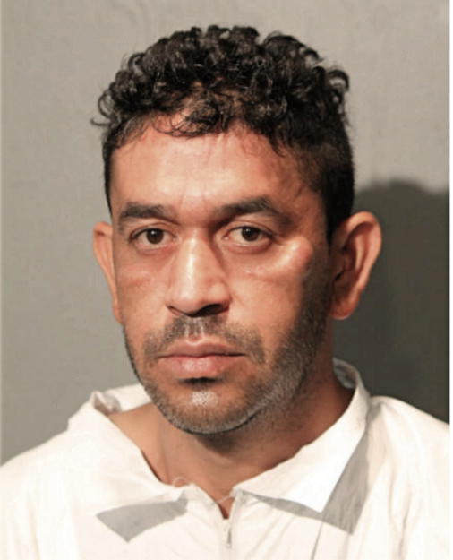 JULIO C HERNANDEZ, Cook County, Illinois