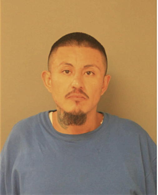 PAUL A JACOME, Cook County, Illinois