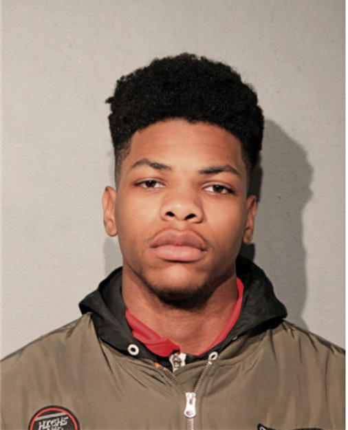 TRISTAN L LAND, Cook County, Illinois