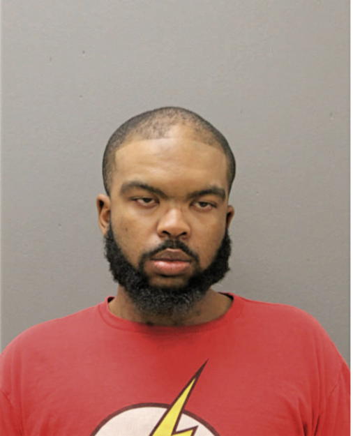 BERNARD J LOUIS JR, Cook County, Illinois