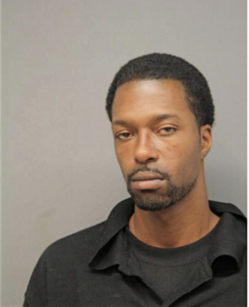 DERRICK T LYKE, Cook County, Illinois