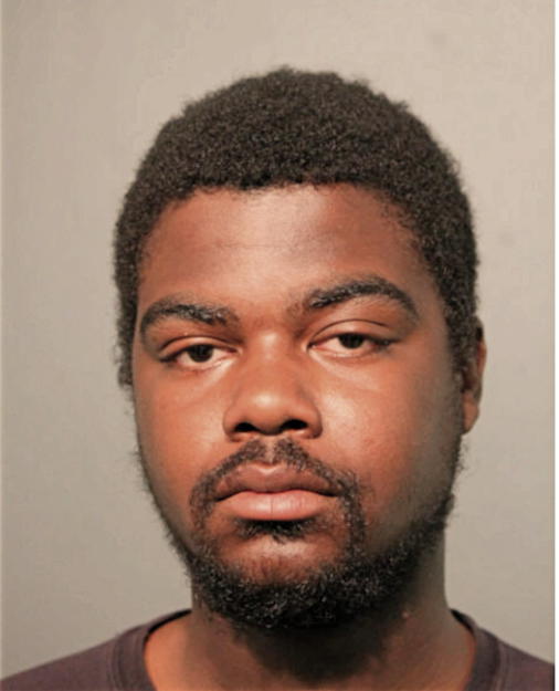 ROBERT E MCDOWELL, Cook County, Illinois