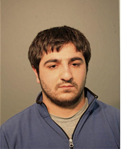 RAMIL MUSAEV, Cook County, Illinois