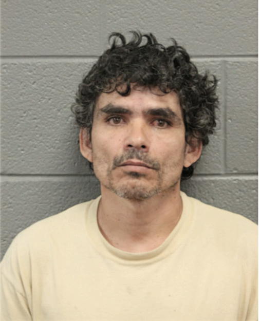 LUIS A RAMOS, Cook County, Illinois