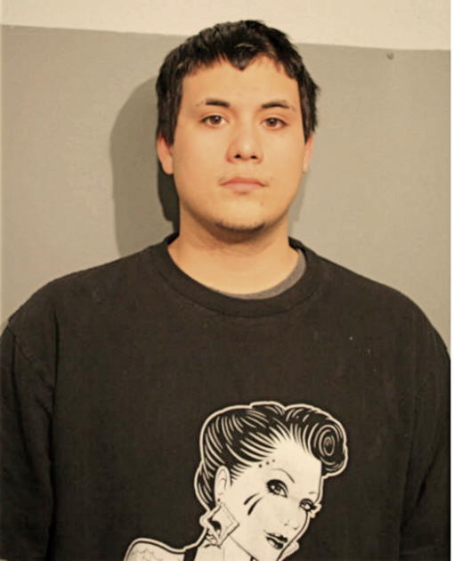 DOMINIC A RODRIGUEZ, Cook County, Illinois