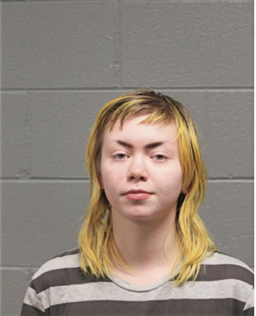 DANIELLE L SCHANMIER, Cook County, Illinois
