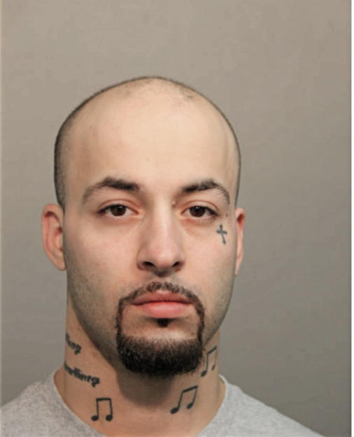 NINOS G SHABANDAR, Cook County, Illinois