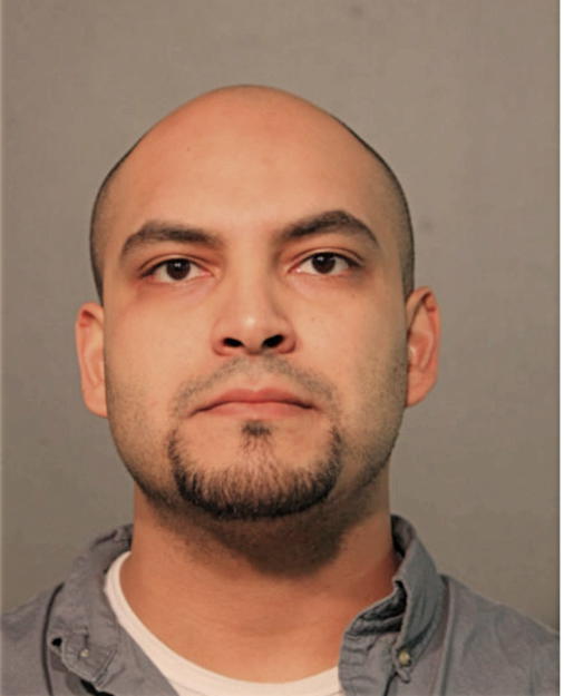 RAMON W VIERA, Cook County, Illinois