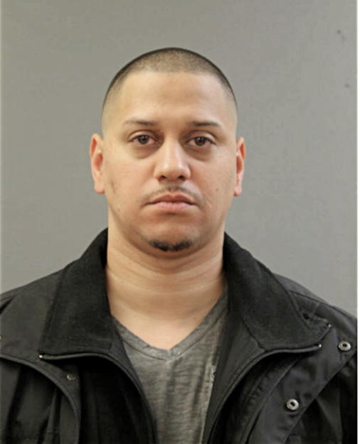 JOSEPH P VILLAFANE, Cook County, Illinois