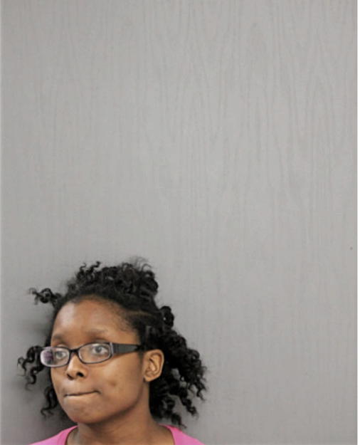 DEBRA L WILSON, Cook County, Illinois