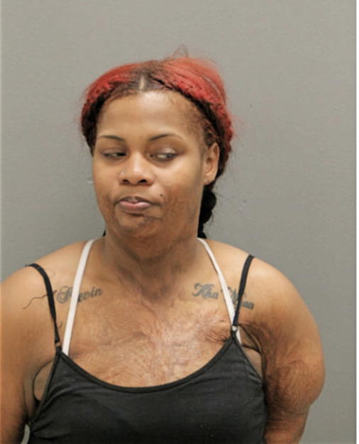 IESHA L YOUNG, Cook County, Illinois