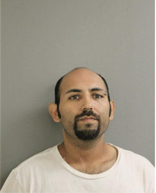 ADRIAN M AREBALO, Cook County, Illinois