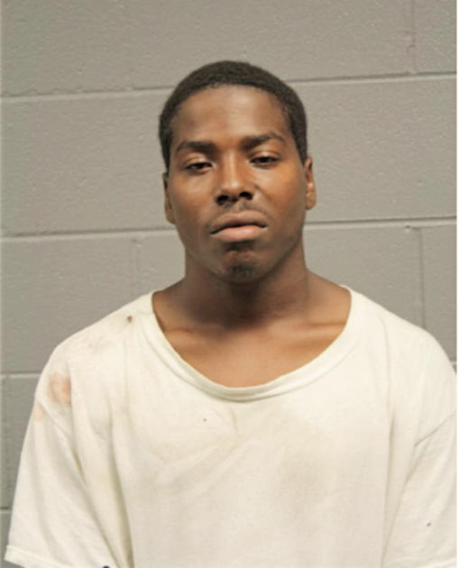 ANDREW D BROWN, Cook County, Illinois