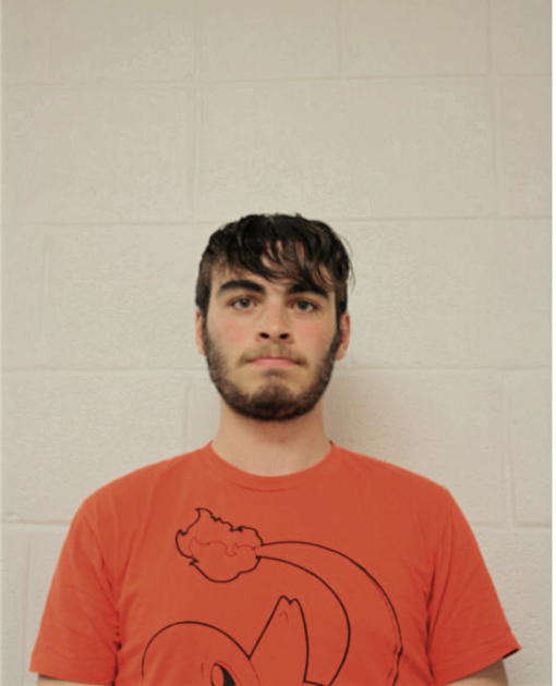 TIMOTHY W DEFILIPPO, Cook County, Illinois