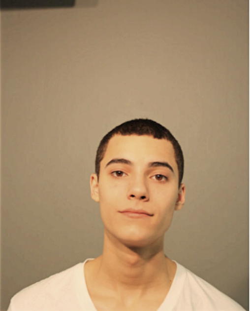 ALEJANDRO DIAZ, Cook County, Illinois