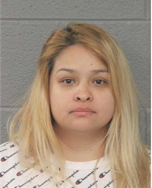 CRYSTAL E GOMEZ, Cook County, Illinois