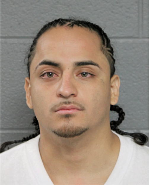 MARTIN GONZALEZ, Cook County, Illinois