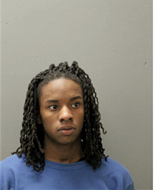 JELANI R HINES, Cook County, Illinois