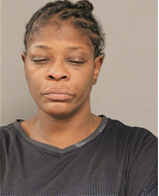 TAMARA L HOLMES, Cook County, Illinois