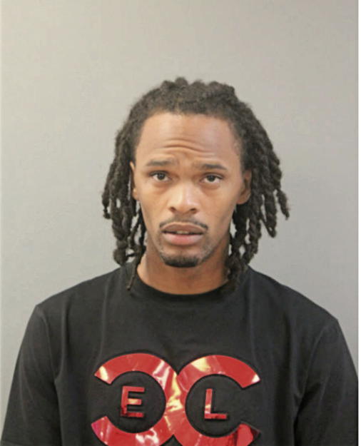 NATHANIEL K HUDSON, Cook County, Illinois