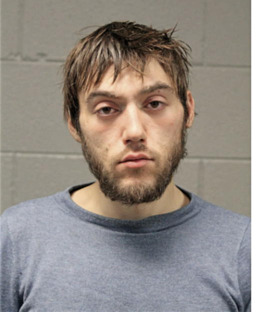 SILVAN KRZALIC, Cook County, Illinois